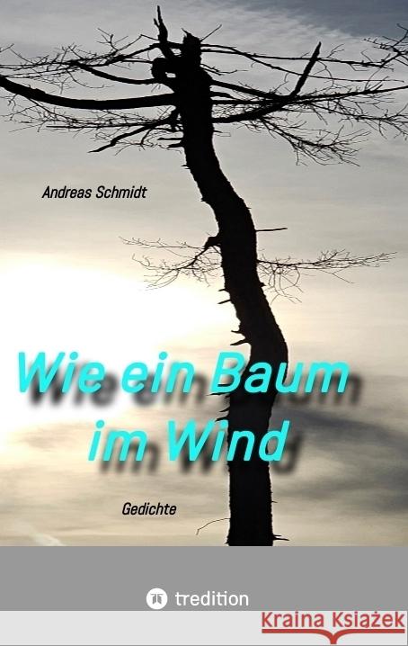 Wie ein Baum im Wind Schmidt, Andreas 9783384790255