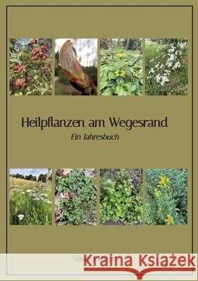 Heilpflanzen am Wegesrand: Ein Jahresbuch Meier, Sandra 9783384883391