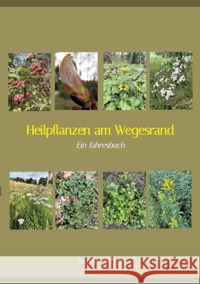 Heilpflanzen am Wegesrand: Ein Jahresbuch Meier, Sandra 9783384884541