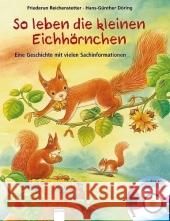 So leben die kleinen Eichhörnchen, m. Audio-CD : Eine Geschichte mit vielen Sachinformationen Reichenstetter, Friederun Döring, Hans-Günther  9783401092645