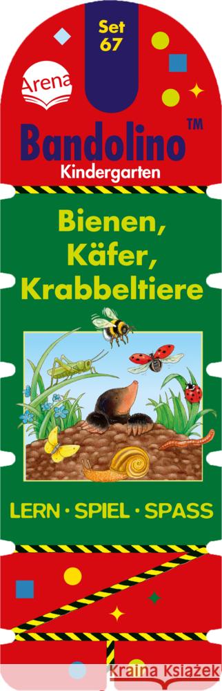 Bienen, Käfer, Krabbeltiere Barnhusen, Friederike 9783401716978