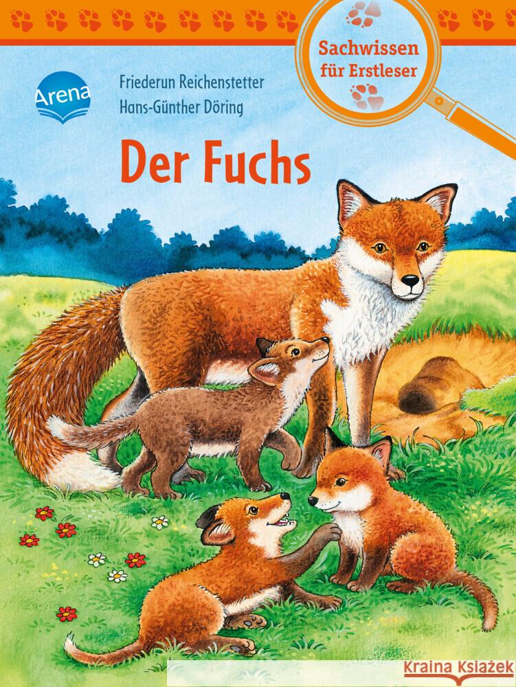 Der Fuchs Reichenstetter, Friederun 9783401717227