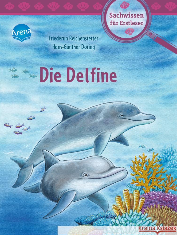 Die Delfine Reichenstetter, Friederun 9783401718347