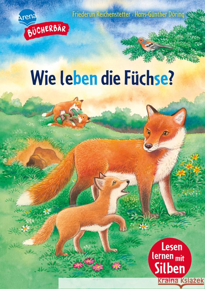 Sachwissen für Erstleser. Wie leben die Füchse? Reichenstetter, Friederun 9783401722078