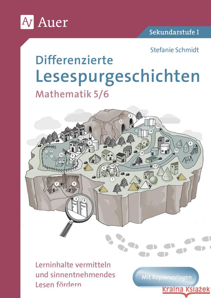 Differenzierte Lesespurgeschichten Mathematik 5-6 Schmidt, Stefanie 9783403084532