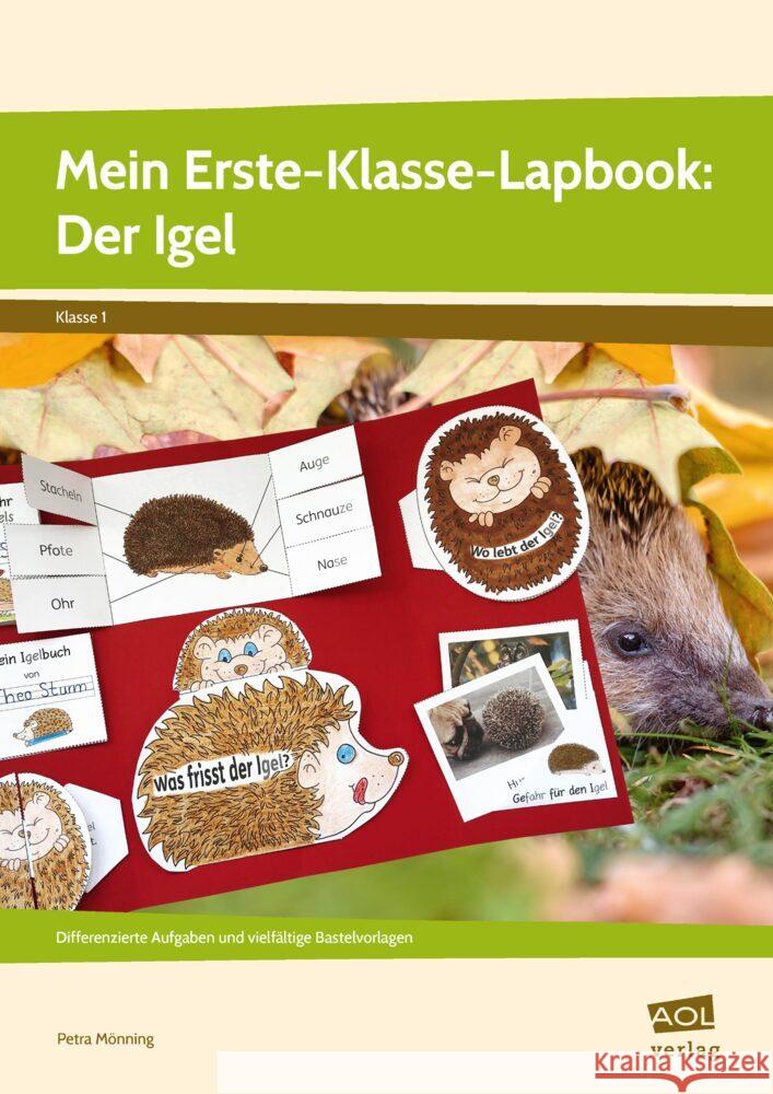 Mein Erste-Klasse-Lapbook: Der Igel Mönning, Petra 9783403106623