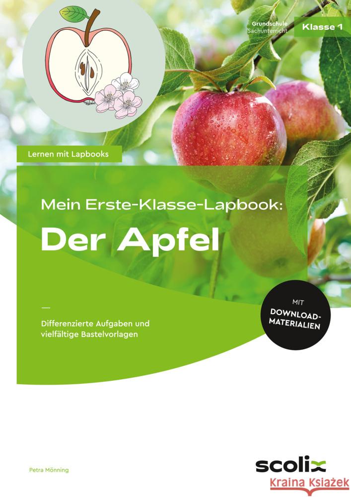 Mein Erste-Klasse-Lapbook: Der Apfel Mönning, Petra 9783403107682 Scolix