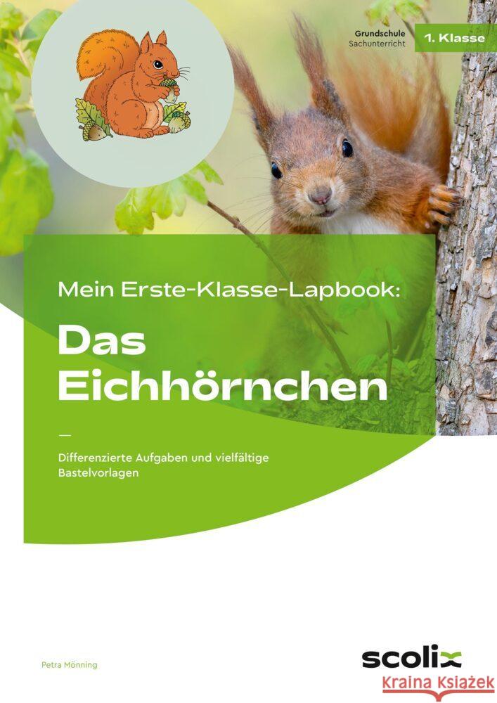 Mein Erste-Klasse-Lapbook: Das Eichhörnchen Mönning, Petra 9783403107958 Scolix