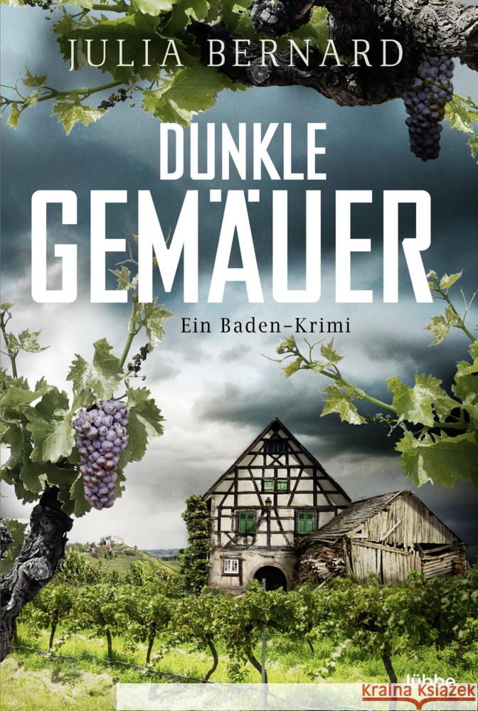 Dunkle Gemäuer Bernard, Julia 9783404185825