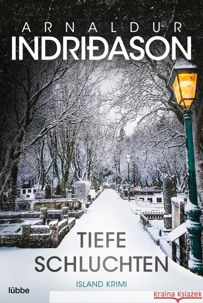 Tiefe Schluchten Indriðason, Arnaldur 9783404189472 Bastei Lübbe