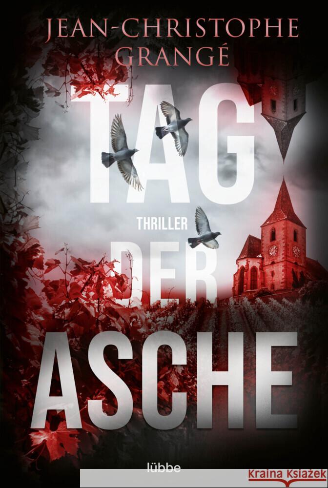 Tag der Asche Grangé, Jean-Christophe 9783404189496 Bastei Lübbe