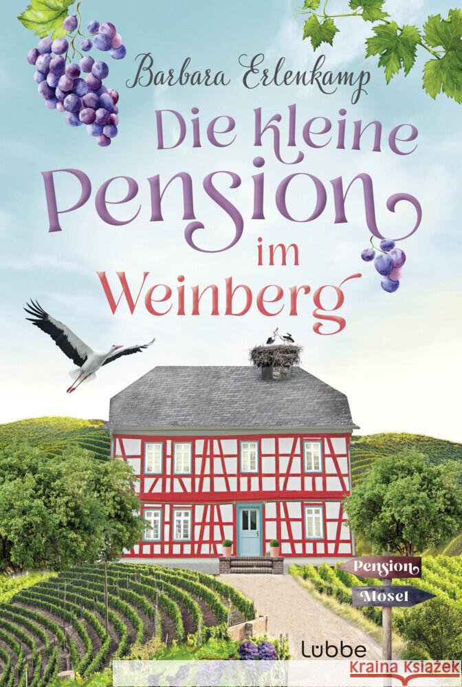 Die kleine Pension im Weinberg Erlenkamp, Barbara 9783404192540 Bastei Lübbe