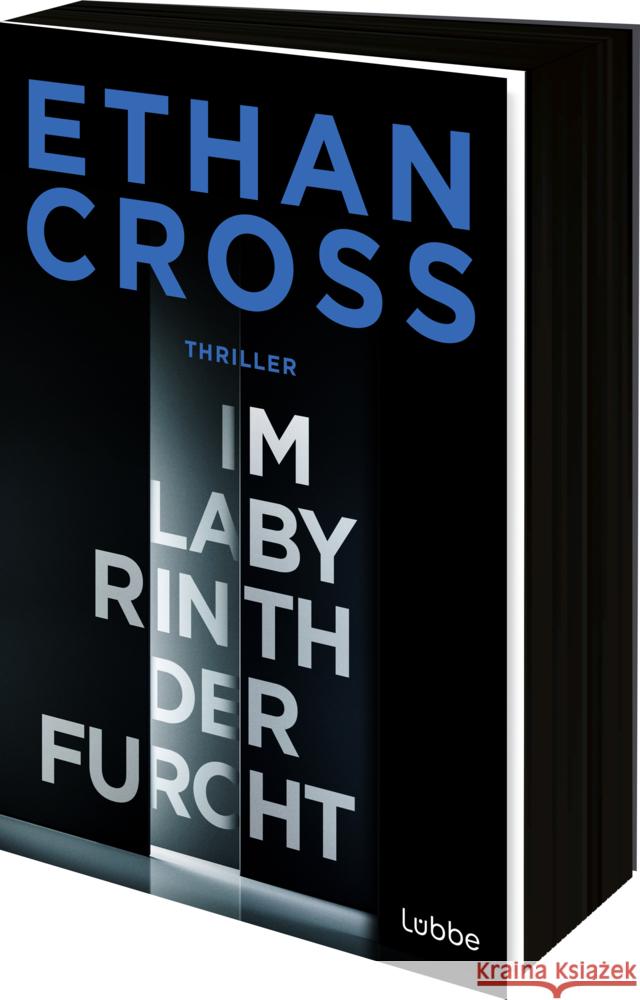 Im Labyrinth der Furcht Cross, Ethan 9783404194858
