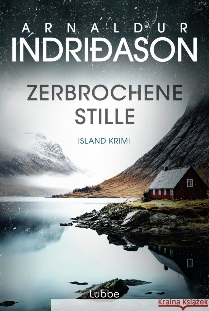 Zerbrochene Stille Indriðason, Arnaldur 9783404196241 Bastei Lübbe