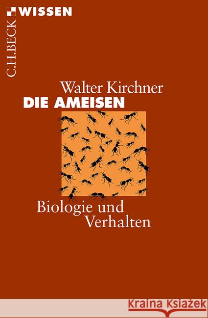 Die Ameisen : Biologie und Verhalten Kirchner, Walter   9783406447525 Beck