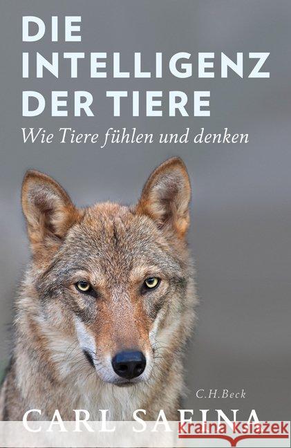 Die Intelligenz der Tiere : Wie Tiere fühlen und denken Safina, Carl 9783406707902 Beck