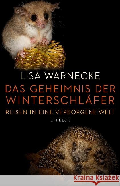 Das Geheimnis der Winterschläfer : Reisen in eine verborgene Welt Warnecke, Lisa 9783406713286