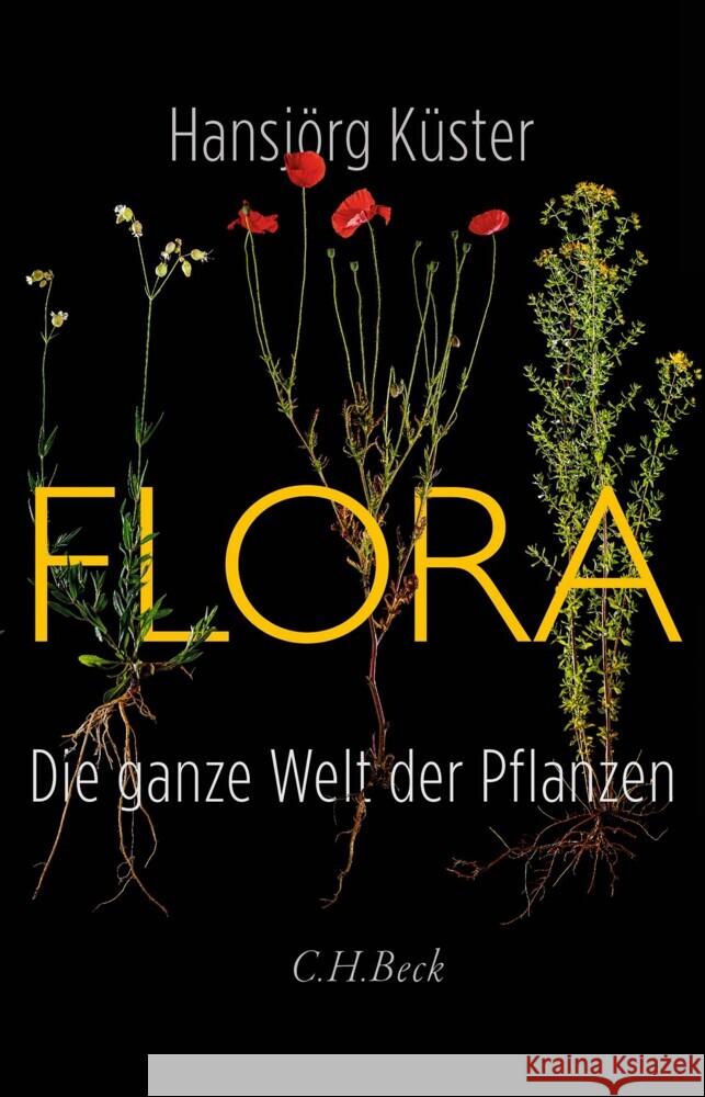 Flora Küster, Hansjörg 9783406783234