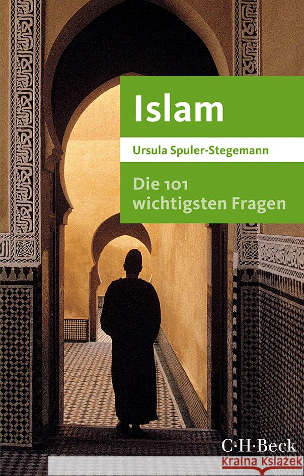 Die 101 wichtigsten Fragen - Islam Spuler-Stegemann, Ursula 9783406817519 Beck