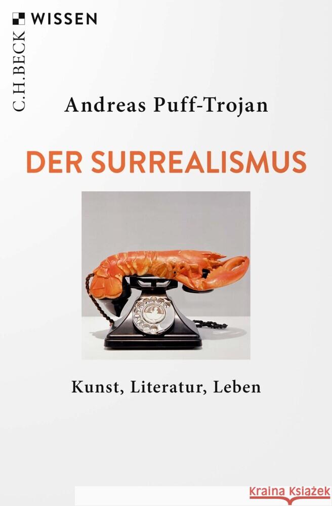 Der Surrealismus Puff-Trojan, Andreas 9783406822766 Beck