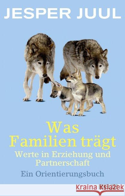 Was Familien trägt : Werte in Erziehung und Partnerschaft. Ein Orientierungsbuch Juul, Jesper 9783407229502 Beltz