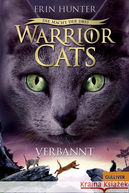 Warrior Cats - Die Macht der Drei. Verbannt : III, Band 3 Hunter, Erin 9783407747419 Beltz