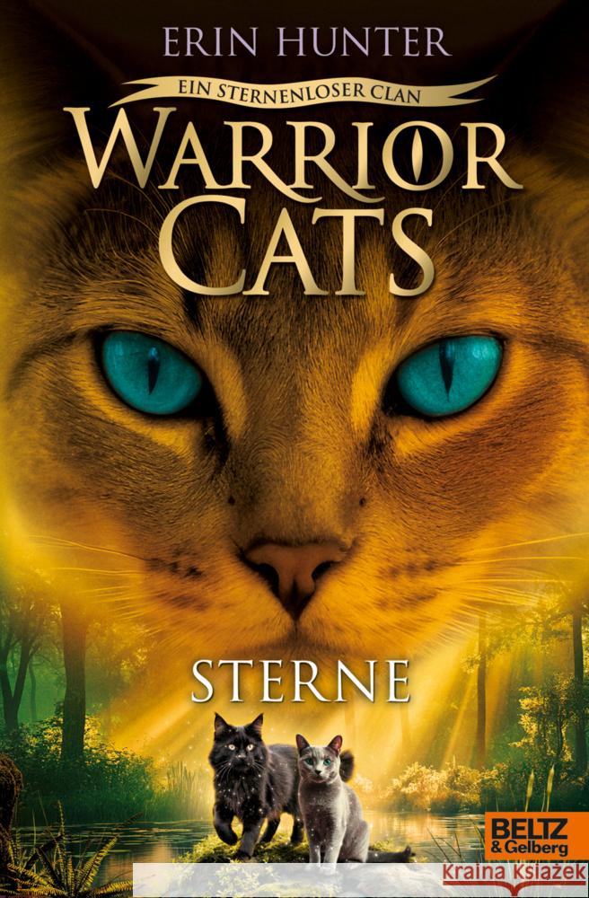 Warrior Cats - Ein sternenloser Clan. Sterne Hunter, Erin 9783407752796