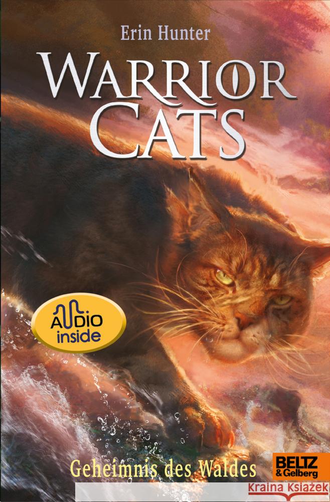 Warrior Cats. Die Prophezeiungen beginnen - Geheimnis des Waldes Hunter, Erin 9783407758637 Beltz