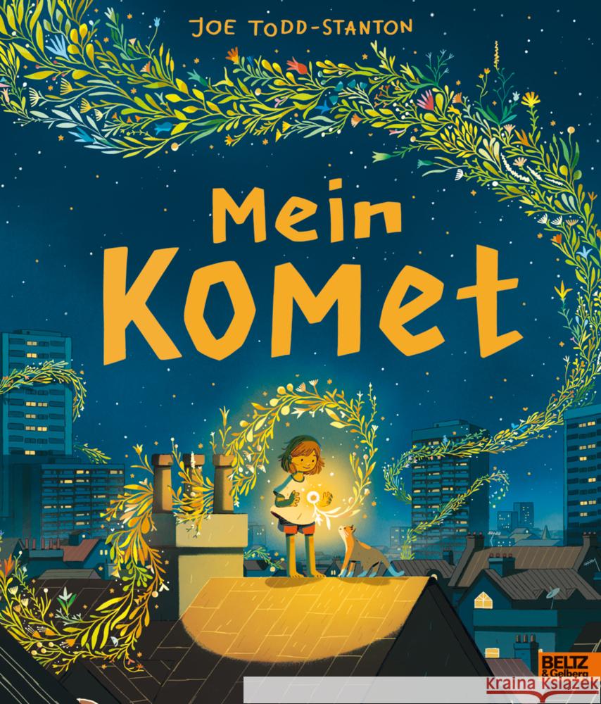 Mein Komet Todd-Stanton, Joe 9783407759214