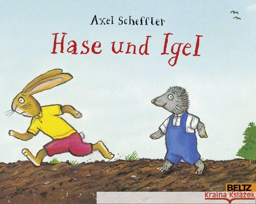 Hase und Igel Scheffler, Axel 9783407761835