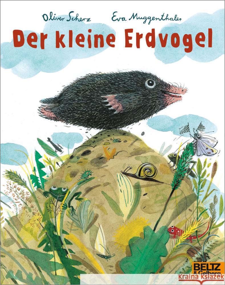 Der kleine Erdvogel Scherz, Oliver 9783407762399 Beltz