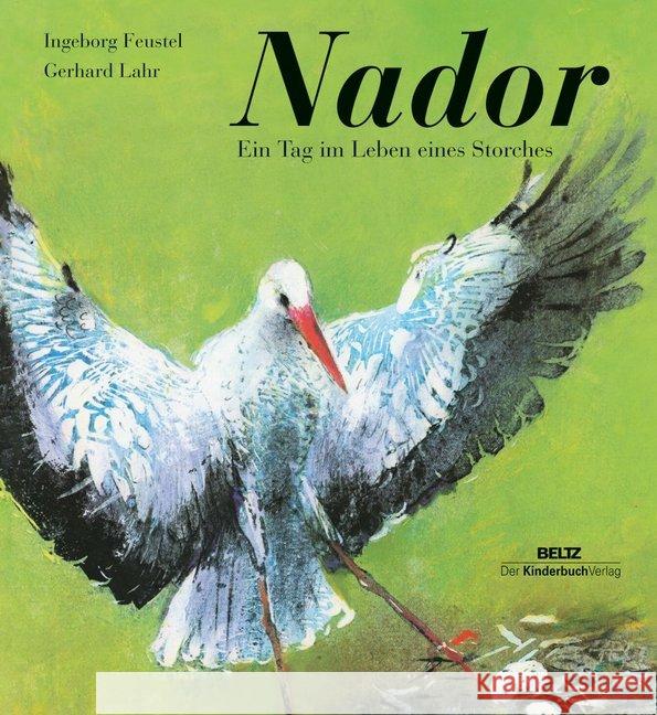 Nador : Ein Tag im Leben eines Storches Feustel, Ingeborg; Lahr, Gerhard 9783407770585 Beltz