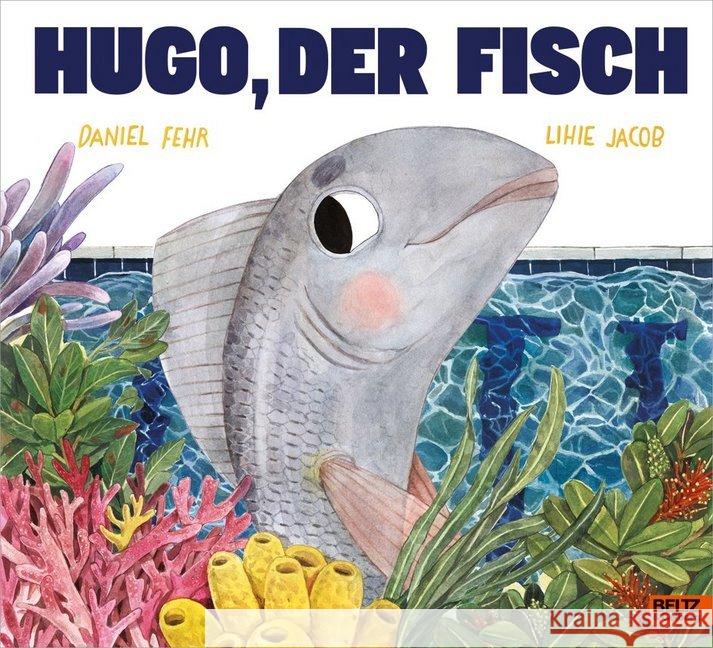 Hugo, der Fisch : Vierfarbiges Bilderbuch Fehr, Daniel 9783407812179