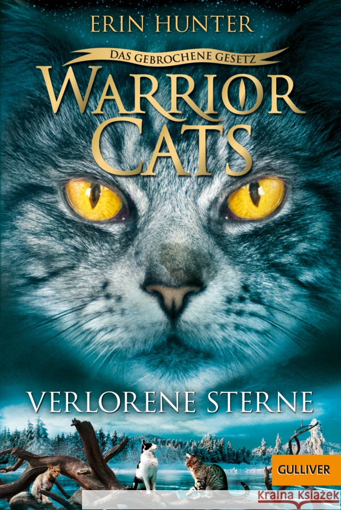 Warrior Cats - Das gebrochene Gesetz. Verlorene Sterne Hunter, Erin 9783407812858