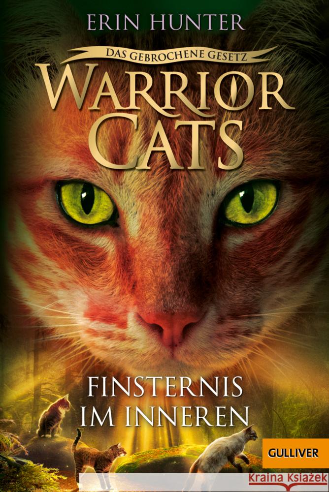 Warrior Cats - Das gebrochene Gesetz - Finsternis im Inneren Hunter, Erin 9783407813015 Beltz