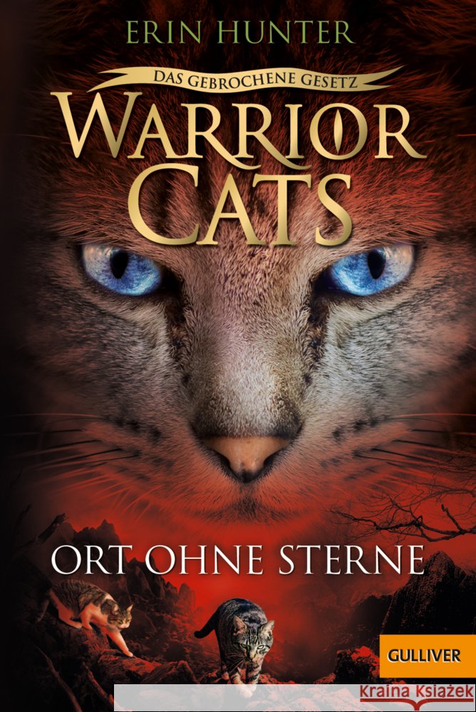 Warrior Cats - Das gebrochene Gesetz. Ort ohne Sterne Hunter, Erin 9783407813190