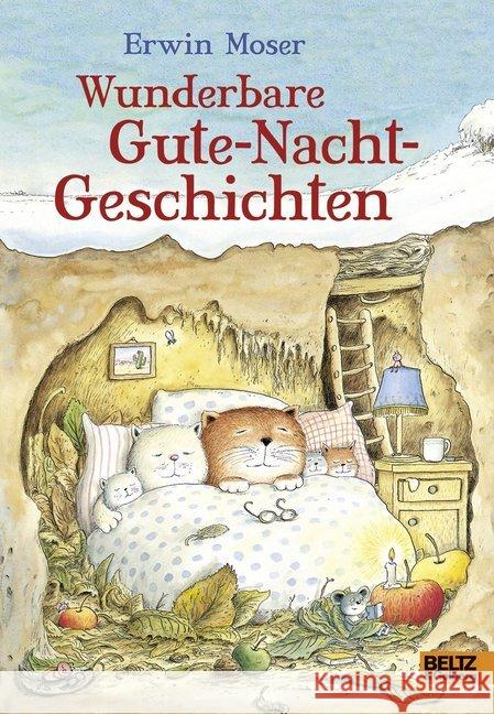 Wunderbare Gute-Nacht-Geschichten Moser, Erwin 9783407821683