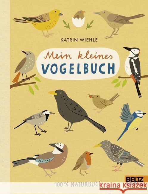 Mein kleines Vogelbuch : 100 % Naturbuch Wiehle, Katrin 9783407823342
