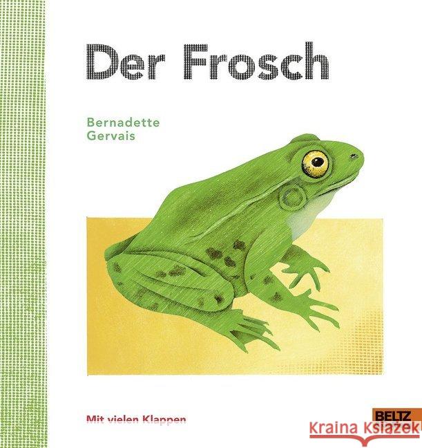 Der Frosch : Vierfarbiges Bilderbuch mit vielen Klappen Gervais, Bernadette 9783407823441