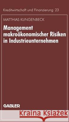 Management Makroökonomischer Risiken in Industrieunternehmen: Möglichkeiten Einer Effektiveren Gestaltung Am Beispiel Des Währungsrisikos Klingenbeck, Matthias 9783409135702 Gabler Verlag