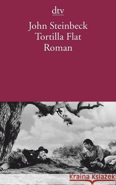 Tortilla Flat : Roman Steinbeck, John Rotten, Elisabeth  9783423107648 DTV