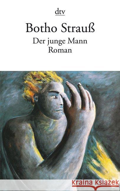 Der Junge Mann Botho Strauss 9783423107747