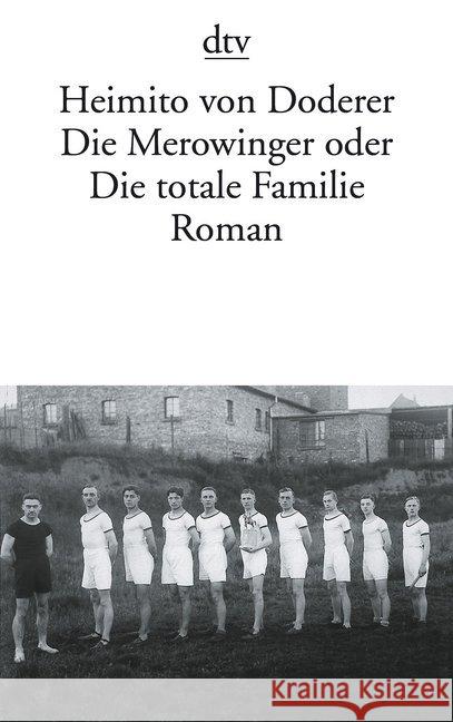 Die Merowinger Oder Die Totale H. Von Doderer 9783423113083 Deutscher Taschenbuch Verlag GmbH & Co.