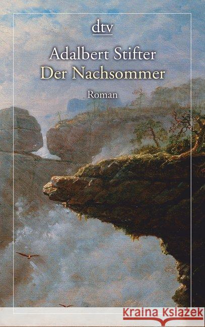 Der Nachsommer : Roman Stifter, Adalbert 9783423146241 DTV