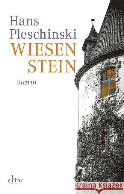 Wiesenstein : Roman Pleschinski, Hans 9783423147224 DTV