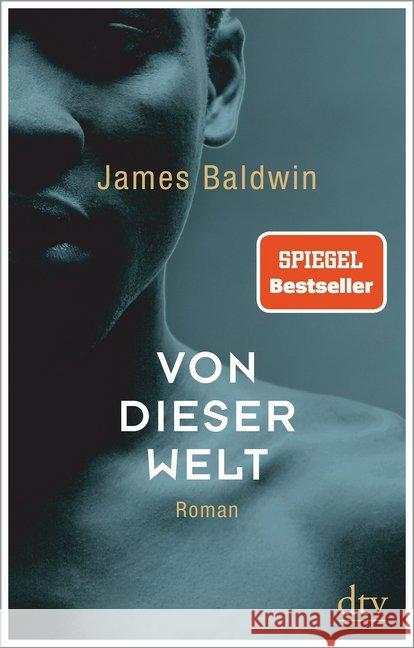 Von dieser Welt : Roman. Helmut-M.-Braem-Übersetzerpreis 2020 Baldwin, James 9783423147255