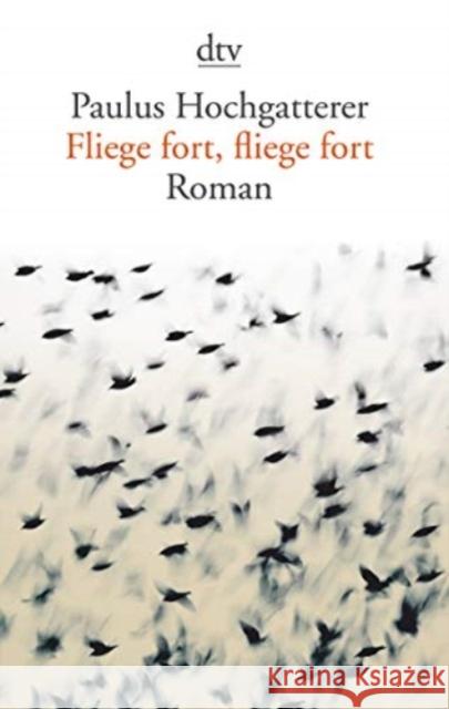 Fliege fort, fliege fort Hochgatterer, Paulus 9783423147958 DTV