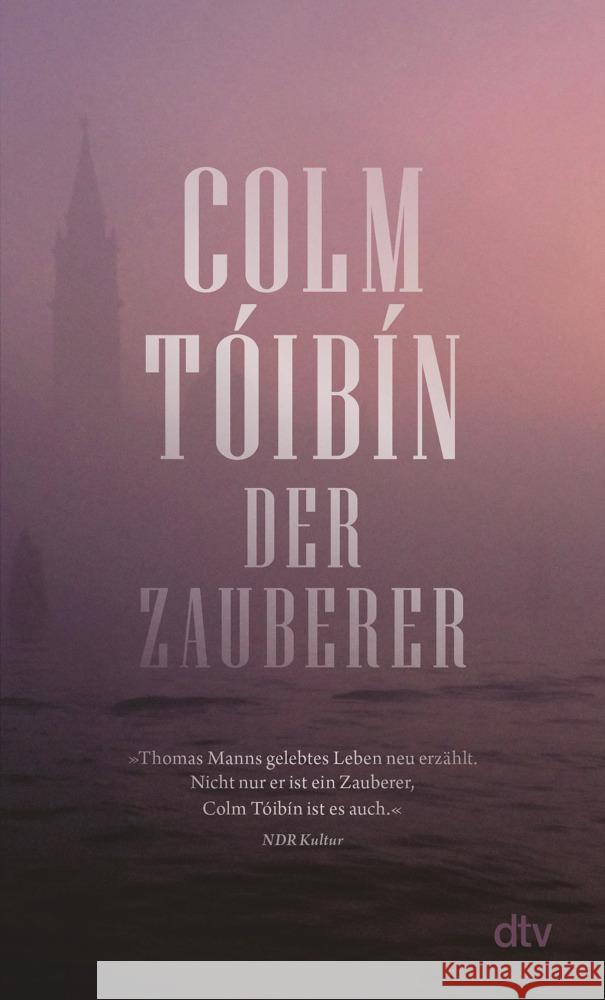 Der Zauberer Tóibín, Colm 9783423148689 DTV