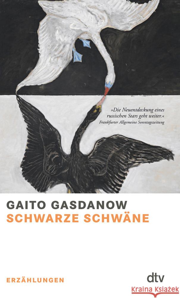 Schwarze Schwäne Gasdanow, Gaito 9783423148702 DTV