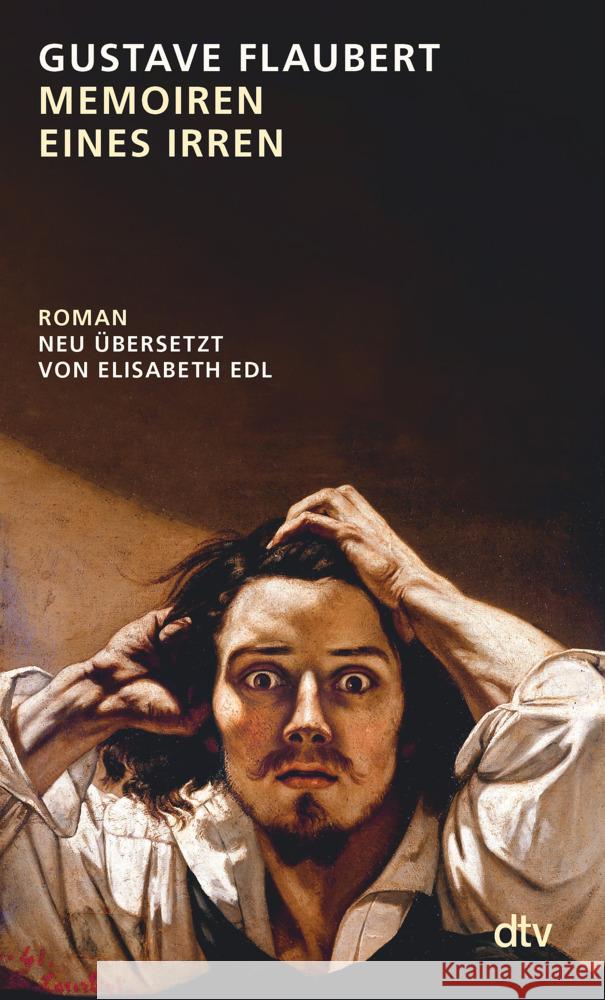 Memoiren eines Irren Flaubert, Gustave 9783423148771